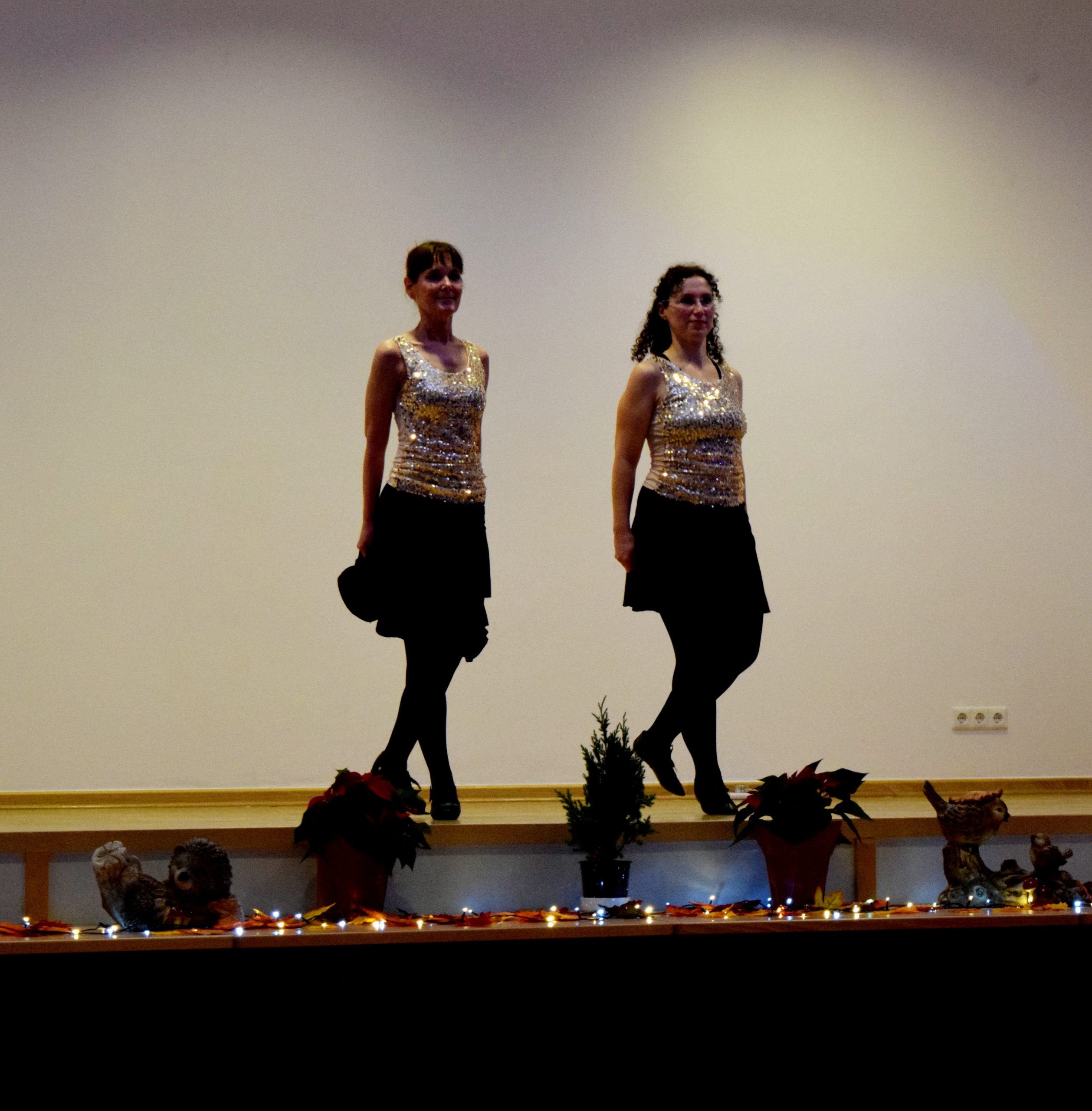 irish-dance-school-bremen@gmx.de